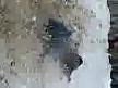 nicolas19o7@hotmail.com
