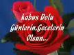nicolas19o7@hotmail.com