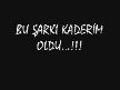 ELFİDA