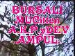 MUCİT ETEMden A.K.P,ye DEV ,AMPÜL