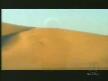 sting desert rose
