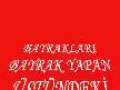 KAHRAMAN TÜRK ASKERİ
