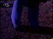 Amr Diab- Habibi