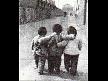 Bir Dostu Olmal� �nsan�n-CAN D�NDAR