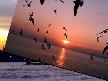 �ehir ve kad�n -can d�ndar