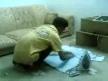 S�cak Telefon