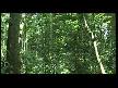 Aydilge - Dunyanin Kalbi Durmasin