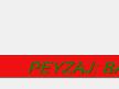 bahce hizmetleri ve peyzaj