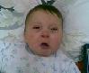 Arabeks Bebek