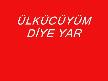 bir kız sevdim eskiden