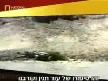 Su aygırının göz yaşları