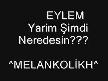 EYLeM-YariM ŞiMdi NeReDeSiN...???