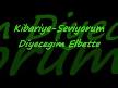 seviyorum...