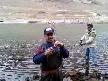 alabal�k