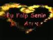 seni seviyorum