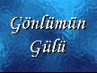gönlümün gülü