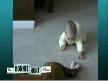 Bebek Ve Köpek
