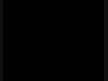 ADAMIM BU HARİKASIN
