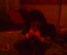 haylaz�m
