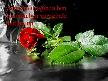 harika bir parca