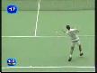 Tenis Topu Ve Kuş