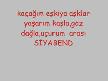 ahmet kaya