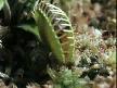 ilgin� g�r�nt�ler thumbnail