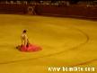 Şansız Matador
