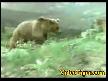 ��te annelik thumbnail