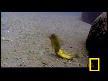 kavga eden bal�klar