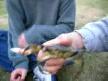 tiryaki yenge� thumbnail