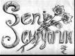 Seni Seviyorum