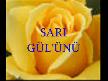 YASEMİN