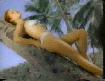 Mr. President - Coco Jambo