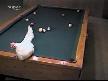 bilardo ustası