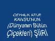 Öğretmenler