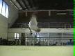 CAPOEIRA
