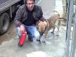 son dakika. ya�ara yap�lan pusu