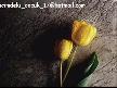 bir gencın ıntıhar etmeden dınledıgı son sarkı