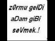 serefsız cıktın