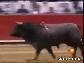 Bayramda Ka�an Bo�alar Nas�l Yakalan�r