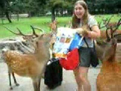 evc�l gey�kler genc k�za rahat vermed�ler