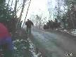rall�c� uctu uctu agaca kondu