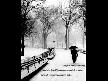 AL�HAN SEVDA MEVS�M�