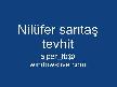 tevhit