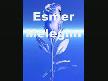 esmer meleğim