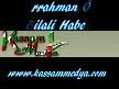 Abdurrahman nl Bilali Habeişi