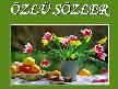 [ÖzLü SözLer]