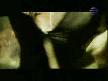 Malina -v tisinata