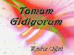 tamam gidiyorum-şiir-seslendiren kadir ogul
